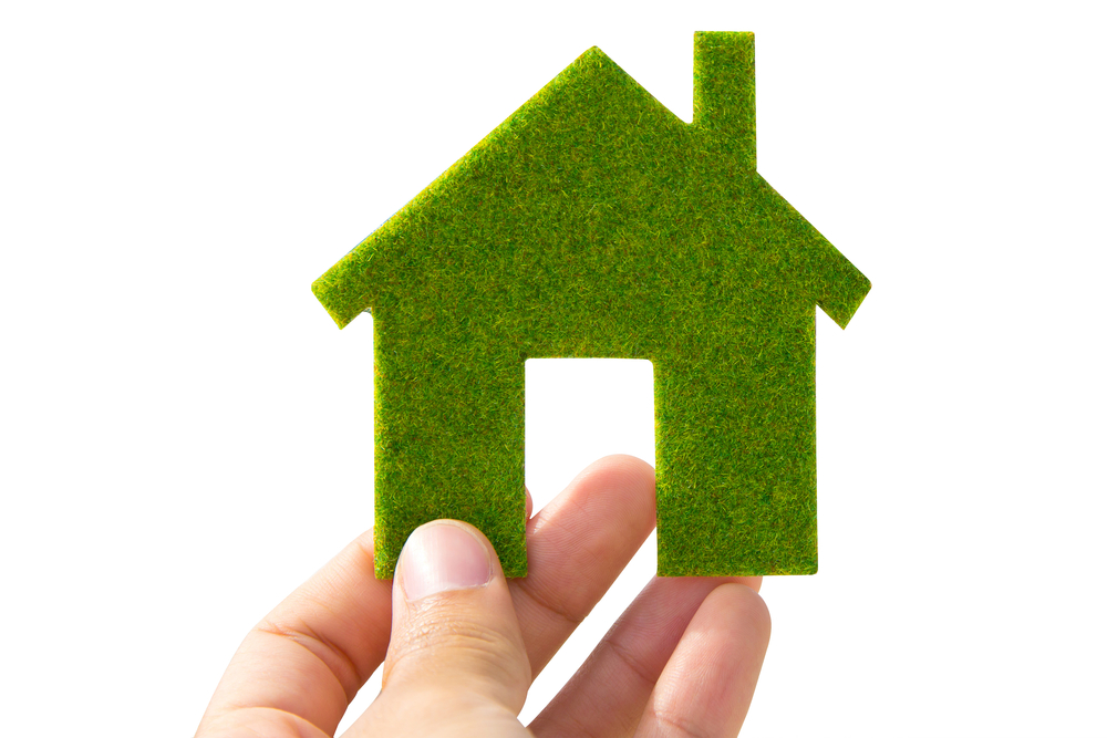 Hand,holding,green,eco,house,icon,concept